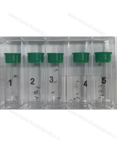 Assortimento Viti per Rx 2130