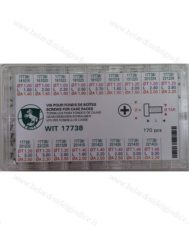 Assortimento Viti per Fondo Cassa Testa Piatta a Croce - 170 pz
