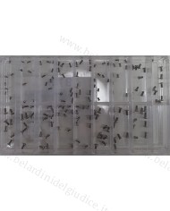 Assortimento Viti per Fondo Cassa Testa Piatta a Croce - 170 pz