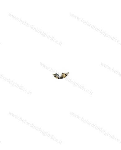 Circuito Citizen 279-224