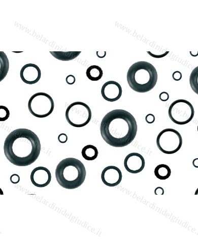 Assortimento Guarnizioni
