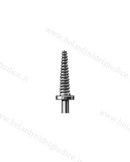 Mandrino Busch 301L-RS per Cilindretti